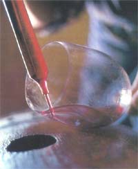 Traditionell hergestellte Rotweine