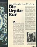 Die Urpilz-Kur