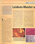 Leidens-Muster unterm Mikroskop