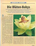 Die Blüten-Babys