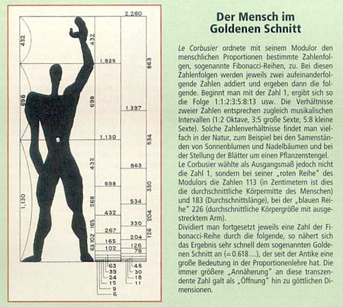 Der Mensch im Goldenen Schnitt