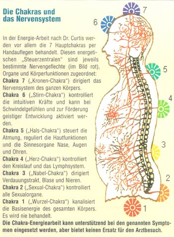 Die Chakras und das Nervensystem