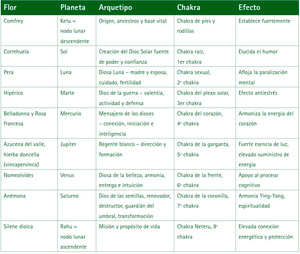 El sistema floral alquímico